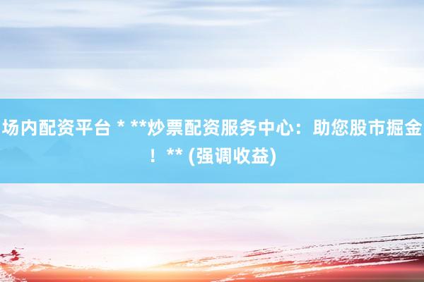 场内配资平台 * **炒票配资服务中心：助您股市掘金！** (强调收益)