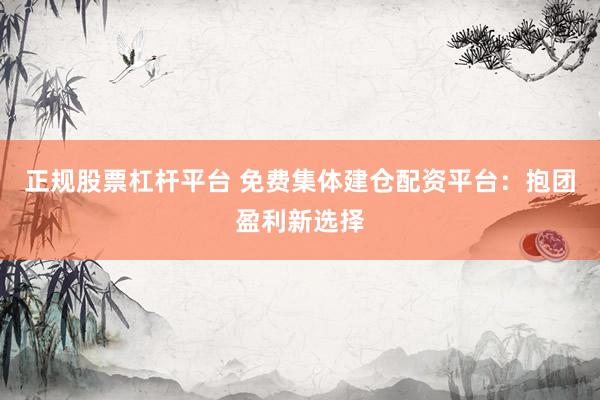 正规股票杠杆平台 免费集体建仓配资平台：抱团盈利新选择