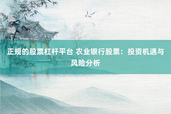 正规的股票杠杆平台 农业银行股票：投资机遇与风险分析