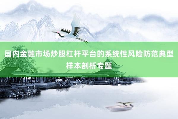 国内金融市场炒股杠杆平台的系统性风险防范典型样本剖析专题