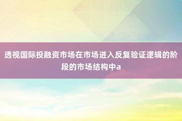 透视国际投融资市场在市场进入反复验证逻辑的阶段的市场结构中a
